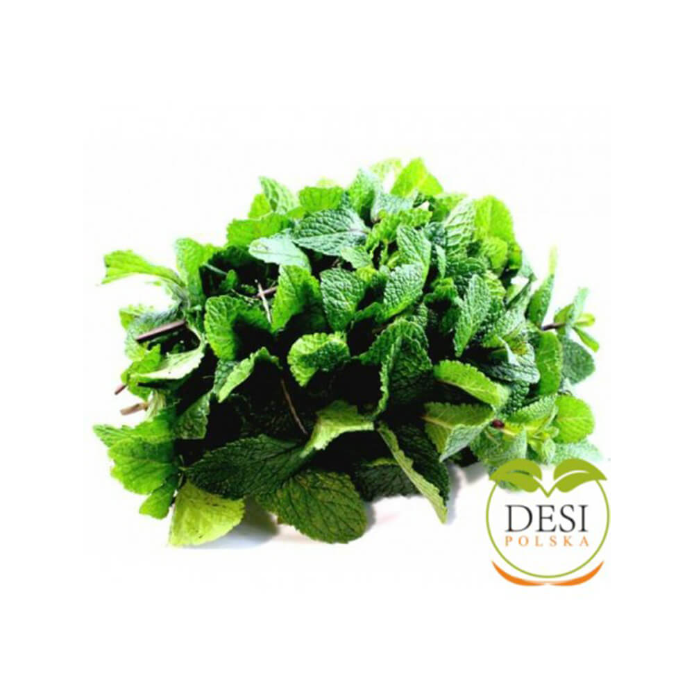 Mint Leaves / Podina